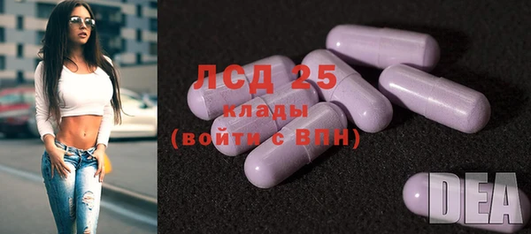 твердый Аркадак