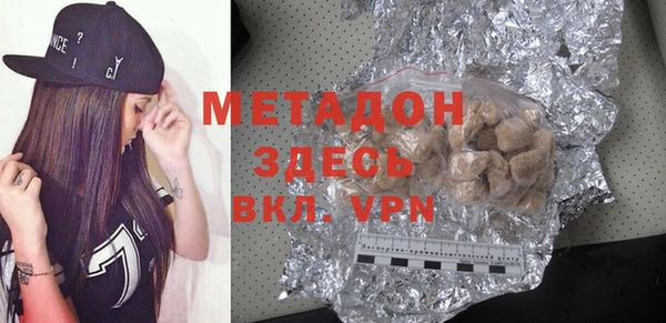 сатива Новозыбков