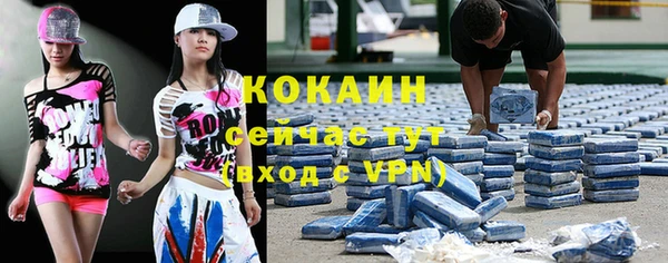 твердый Аркадак